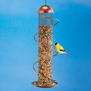 Wayfair | Metal Tube Bird Feeders You'll Love in 2023